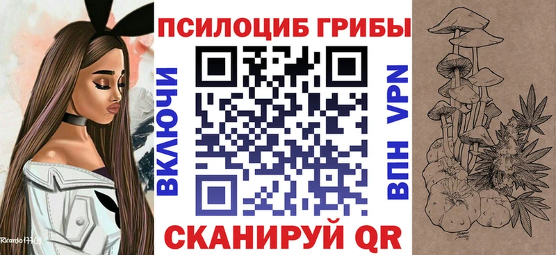наркотики  Камешково  Псилоцибиновые грибы мухоморы 