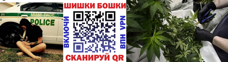 Конопля SATIVA & INDICA  это какой сайт  Камешково 